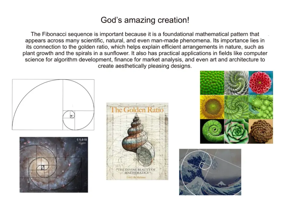 Natural patterns that guide the layout and planting structure.