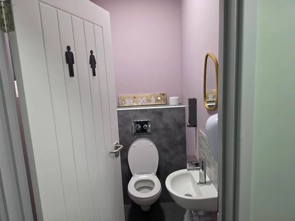 A completed toilet cubicle with pale pink walls, a washbasin and a gold-framed mirror.